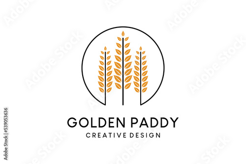 Paddy logo design with minimalist concept, paddy vector illustration