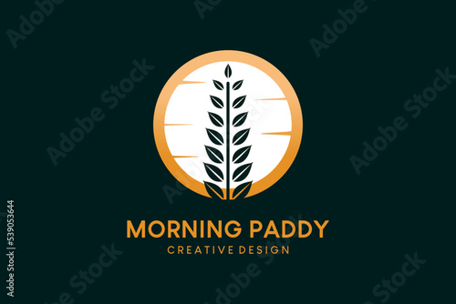 Paddy logo design with sunrise, morning paddy vector illustration