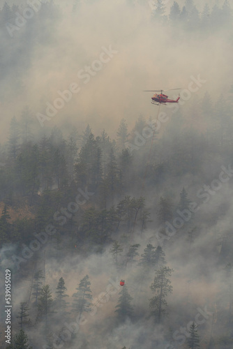 Nohomin Creek Forest Fire