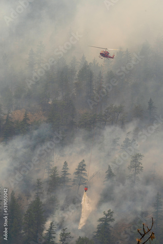 Nohomin Creek Forest Fire