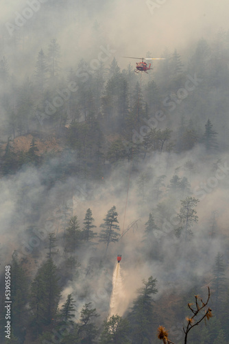Nohomin Creek Forest Fire