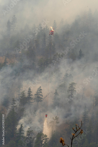 Nohomin Creek Forest Fire