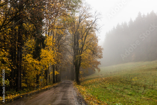 Autumn view of a road near Letohrad, Czech Republic