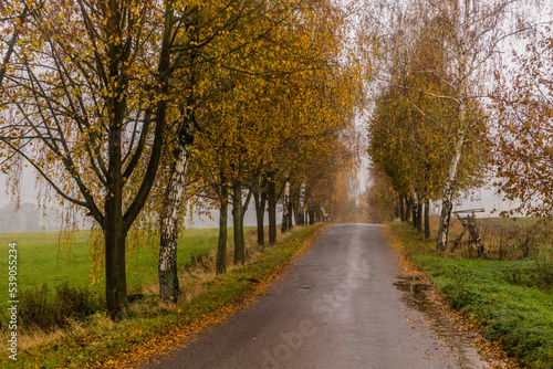 Autumn view of a country road in the Czech Republic