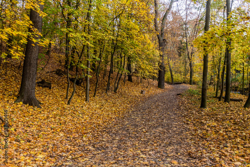 Autumn view of a forest path in Kunraticky forest in Prague, Czech Republic