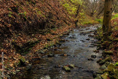 Fototapeta Naklejka Na Ścianę i Meble -  Autumn view of Dalejsky potok stream in Prague, Czech Republic