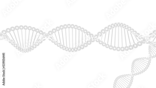 Science Molecular Clear DNA Model Structure under white lighting background. 3D illustration. 3D CG. 3D high quality rendering. PNG file format.