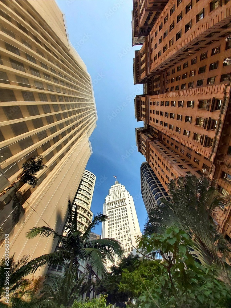 Fototapeta premium skyscrapers on city