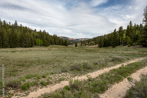 Yovimpa Pass Meadows in Bryce Canyon photo