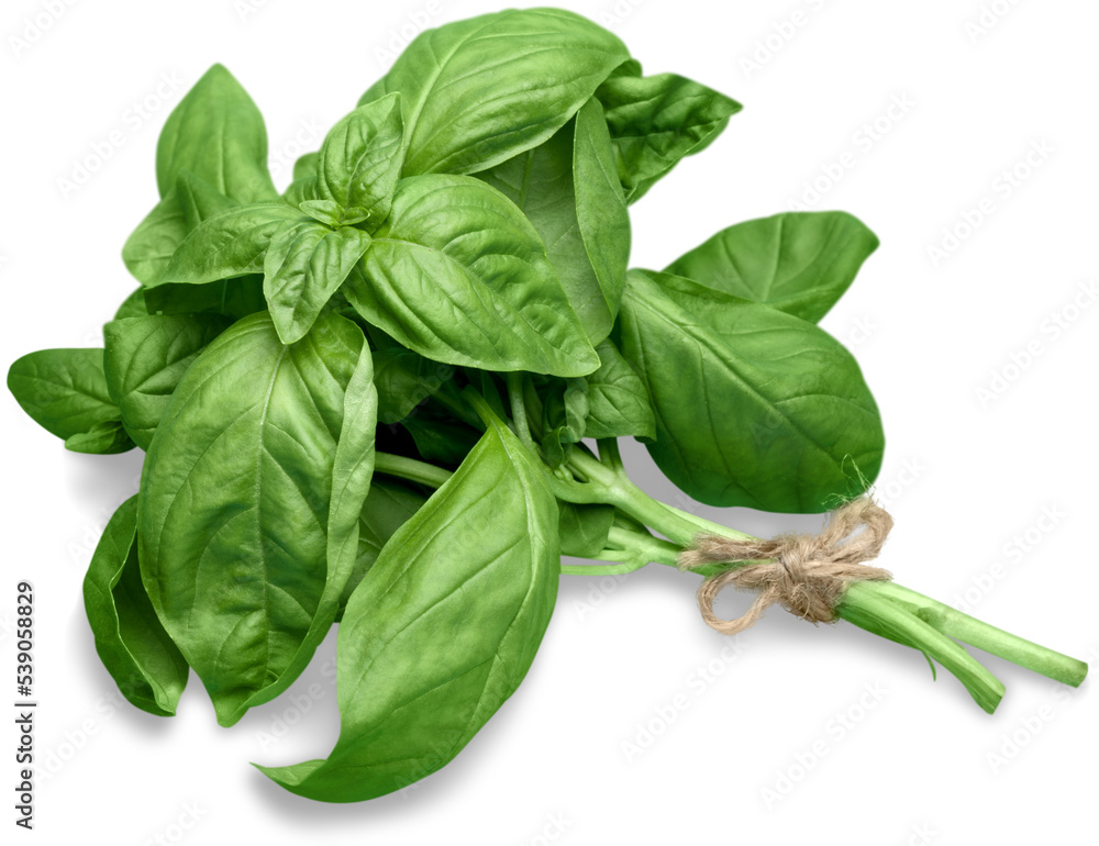 Poster adhésif Fresh basil