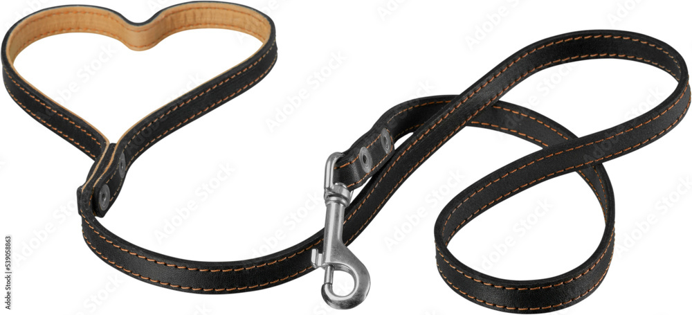 Фотография Dog Collar with Leash Isolated