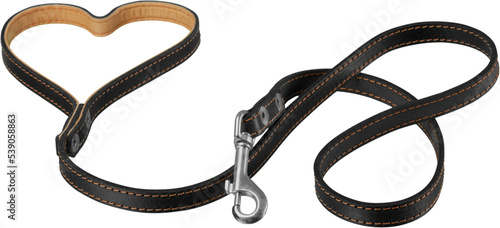 Dog Collar with Leash Isolated