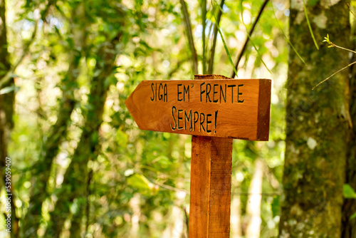 Wooden sign in a forest in Brazil, path in the middle of the forest, translation: go ahead always.