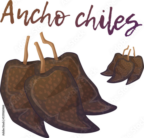 Pile of anchos chiles vector icon, dried polano peppers cartoon illustration isolated on white background photo