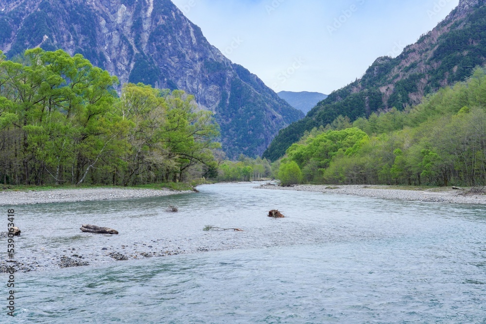 Fototapeta premium 新緑に囲まれた梓川の情景＠上高地、長野