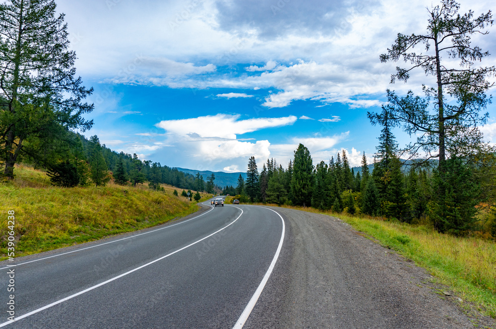 Obraz premium Winding asphalt road through the forest in the Altai mountains