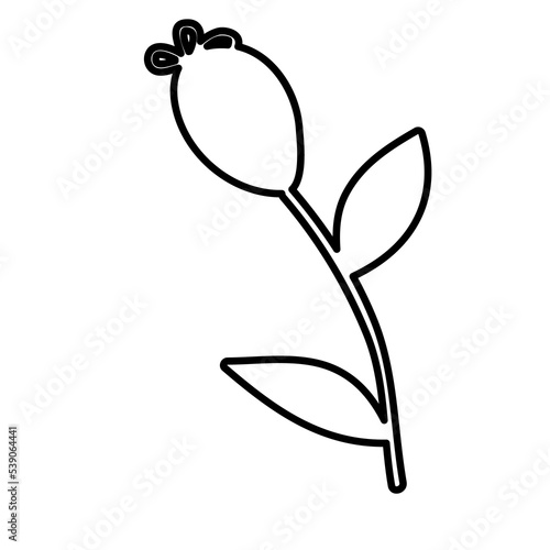 Outline Simple Flower. Floral Illustration. Hand drawn continuous line wild elegant herb. Modern botanical rustic greenery. © Marharyta