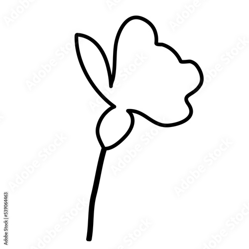 Outline Simple Flower. Floral Illustration. Hand drawn continuous line wild elegant herb. Modern botanical rustic greenery.