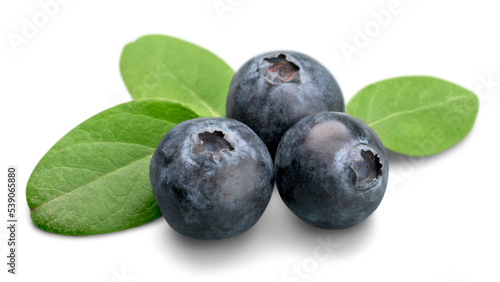Fresh Ripe Blueberries on white background