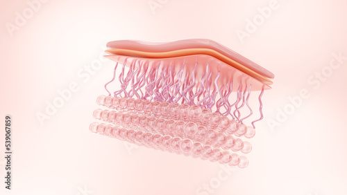 Skin cell, collagen and elastin on pink background for skincare and cosmetic product concept. 3D rendering. photo