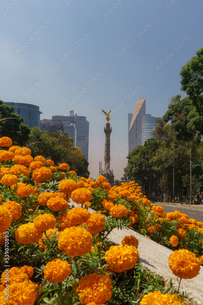 Mexico City view of the Angel of Independence on the famous Reforma Avenue full of beautiful