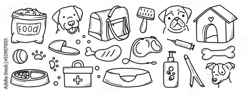 set of pets items in doodle style