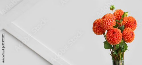 Obraz na plátně Bouquet of beautiful dahlias on light grey background with space for text