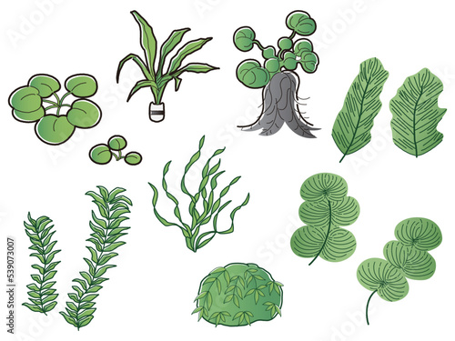 水草のイラストセット　アクアリウム　水槽