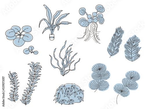 水草のイラストセット　アクアリウム　水槽