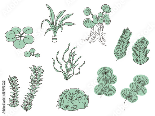 水草のイラストセット　アクアリウム　水槽