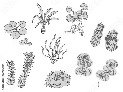 水草のイラストセット　アクアリウム　水槽