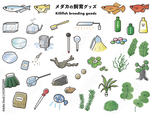 観賞魚の飼育グッズのイラストセット 　アクアリウム水槽