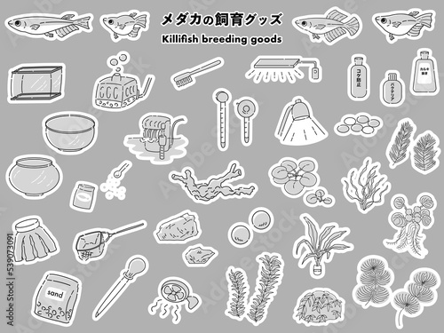 観賞魚の飼育グッズのイラストセット 　アクアリウム水槽