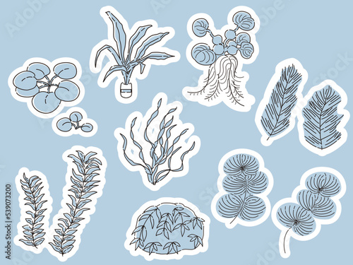 水草のイラストセット　アクアリウム　水槽