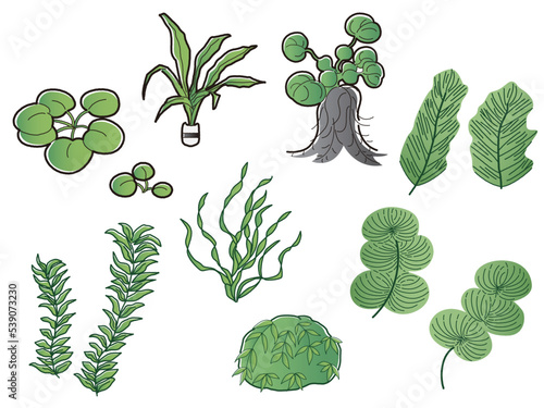 水草のイラストセット　アクアリウム　水槽