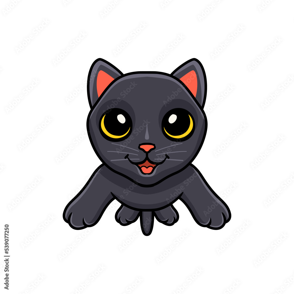 Cute bombay cat cartoon posing Cute bombay cat cartoon posing