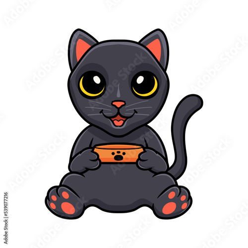 Cute bombay cat cartoon holding food bowl © frescostudio