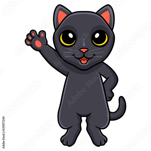 Cute bombay cat cartoon waving hand © frescostudio
