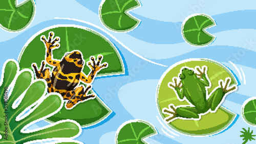 Top view frogs in the pond