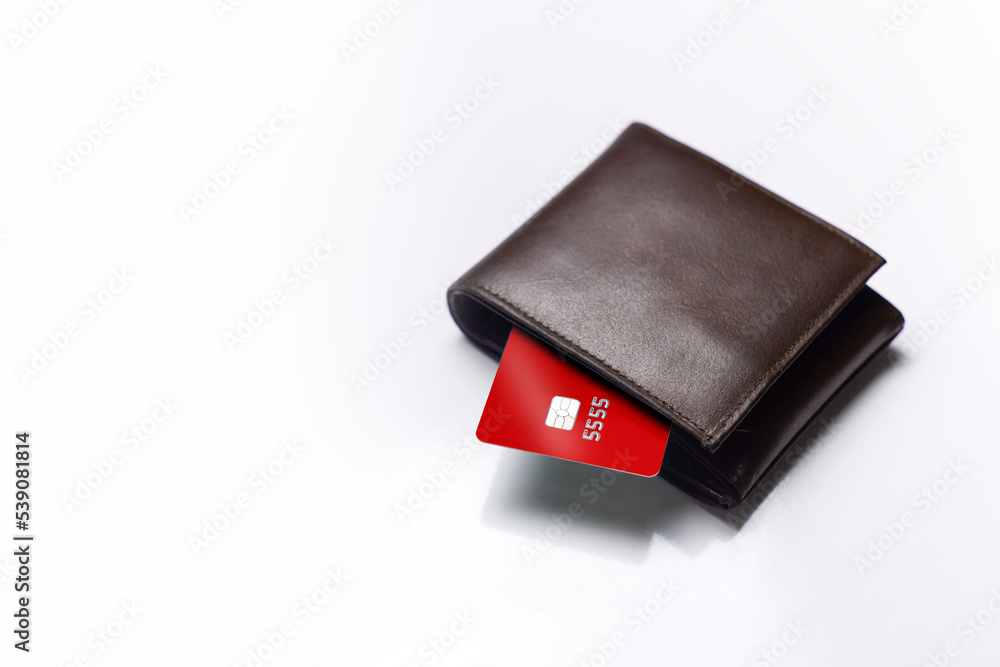 elegance, woman, background, open, closeup, object, accessory, purse, showing, isolated, red, debt, cash, white, personal, economic, earnings, leather, income, finance, card, purchase, credit, payment elegance, woman, background, open, closeup, object, accessory, purse, showing, isolated, red, debt, cash, white, personal, economic, earnings, leather, income, finance, card, purchase, credit, payment