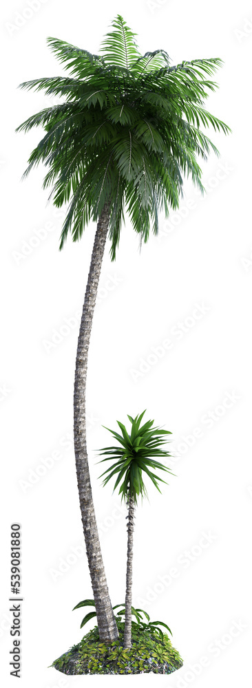 Fototapeta premium 3D rendered tropical plants and palms isolated on Transparent Background - 3D illustration