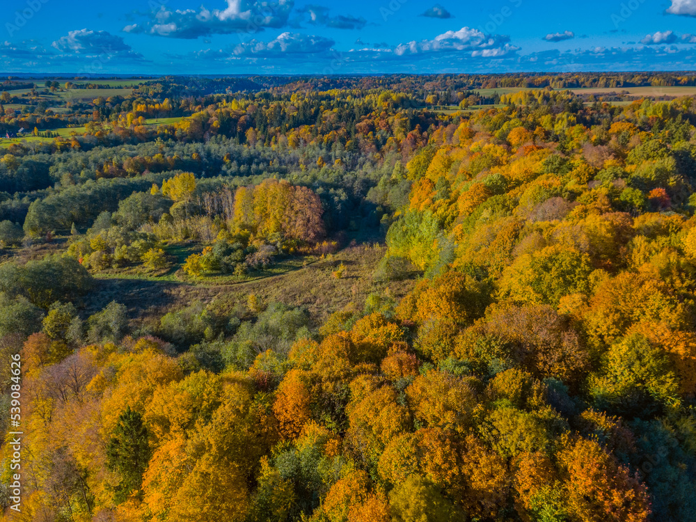 Aerial autumn landscape with colorful maple trees