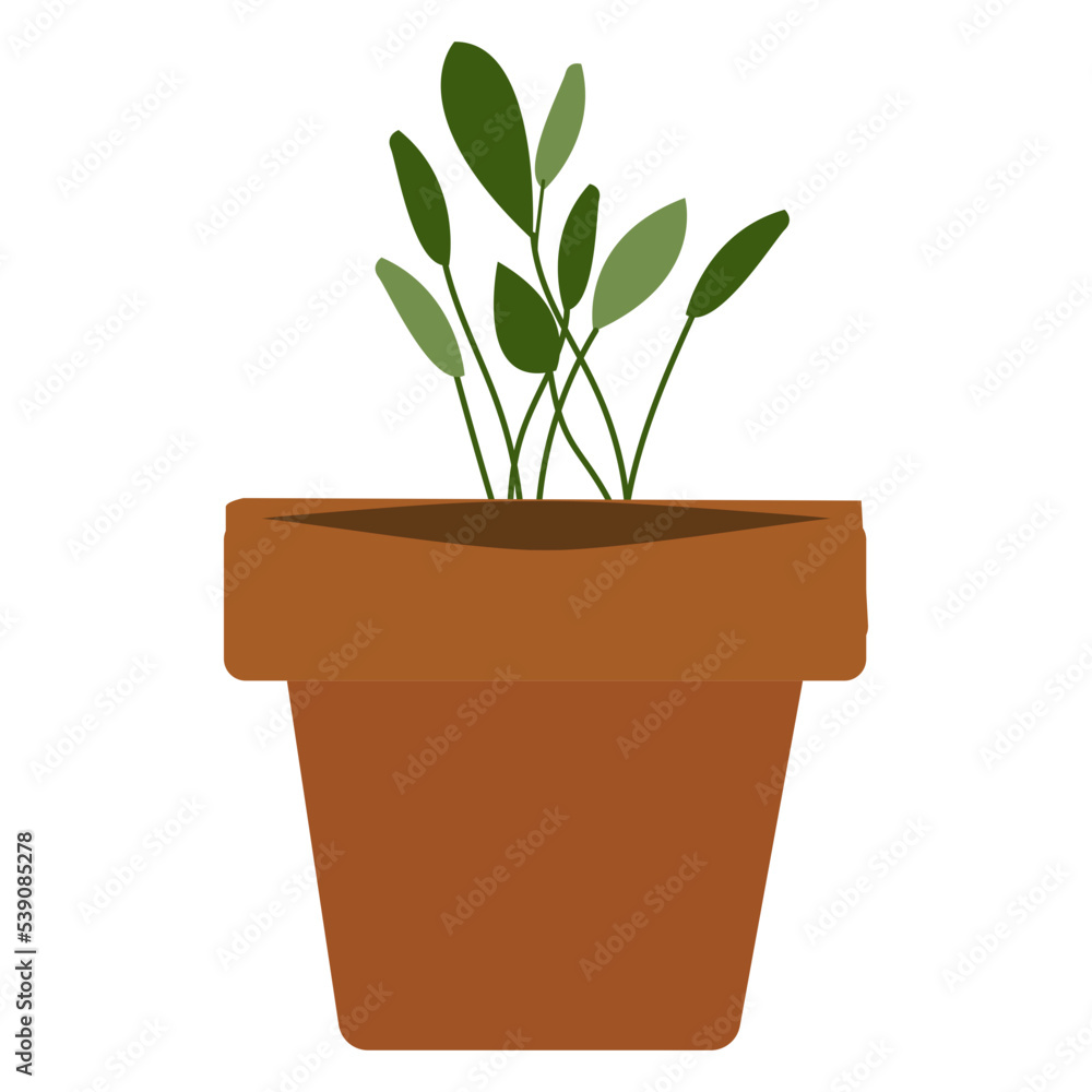 Fototapeta premium House Plant Cute