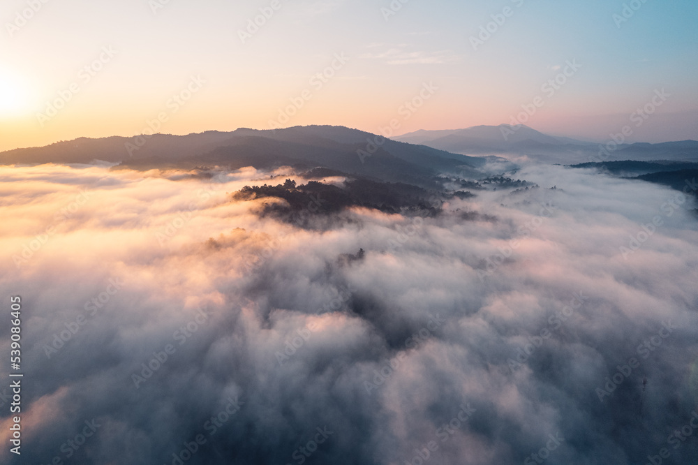 Morning fog and clouds in the hill forest Morning fog and clouds in the hill forest