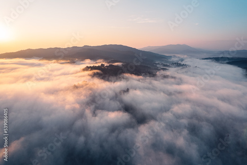 Morning fog and clouds in the hill forest