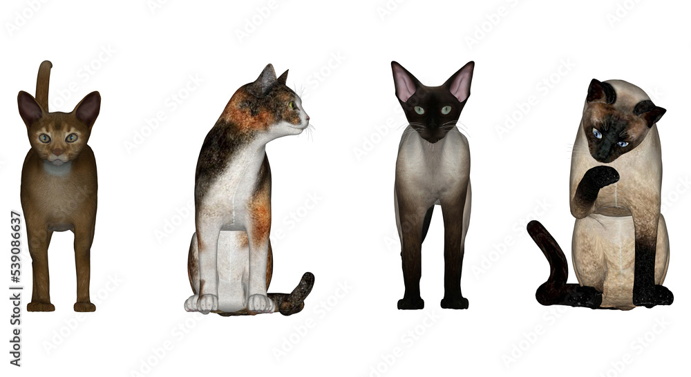 3D High Poly Cats - SET1 Color - Frontal View 3D High Poly Cats - SET1 Color - Frontal View