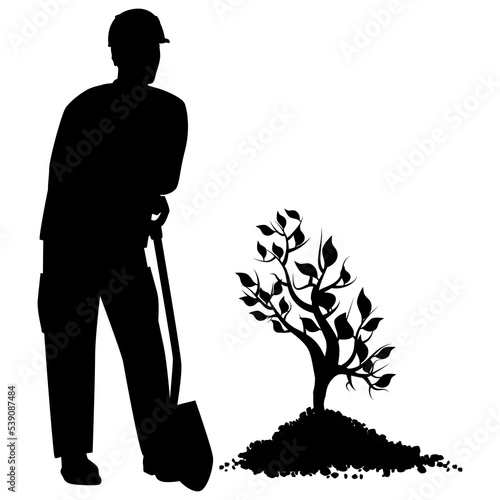 Silhouette of men in work clothes with shovel stand next to young seedling in heap of soil, isolated on white. Design element.