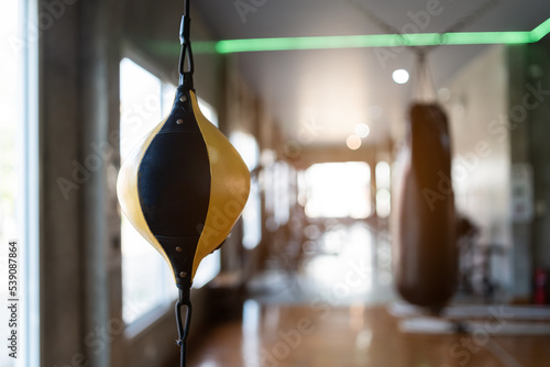 Εκτύπωση καμβά Punch bag at fitness center club with training exercise boxing sandbag