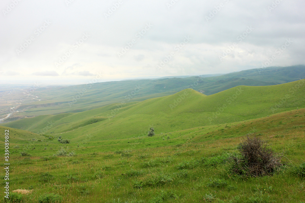 Fototapeta premium Beautiful green hills.