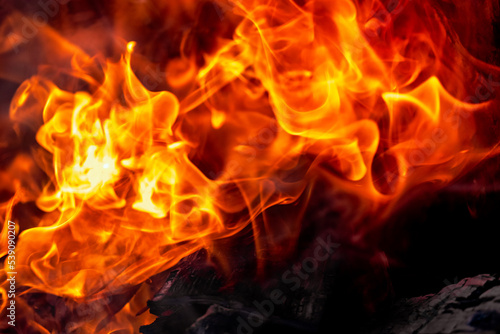 Burning fire close up. Bright orange and red flames on a dark background. Open flame heating. Problems with heating and gas. © Anoo